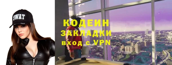 сатива Вяземский