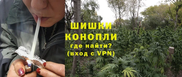 сатива Вяземский