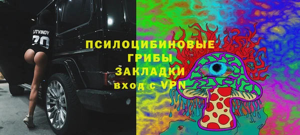 сатива Вяземский