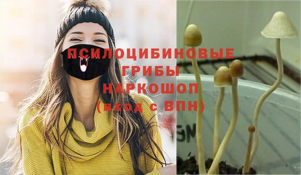 a pvp Вязники