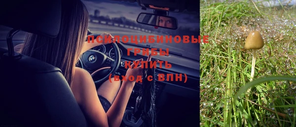 сатива Сясьстрой