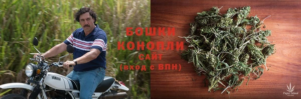 сатива Вяземский
