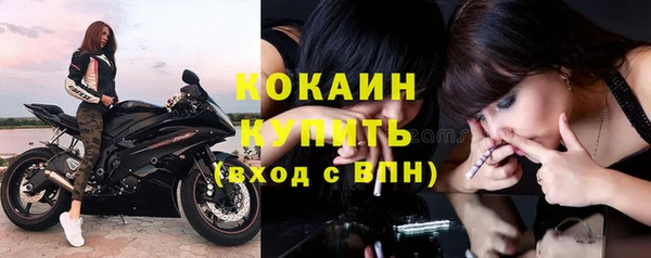 сатива Вяземский
